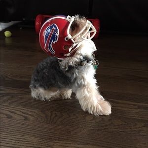 Meet your Posher, Rich